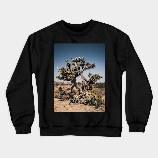 Joshua Tree Photography V2 Crewneck Sweatshirt by Family journey with God